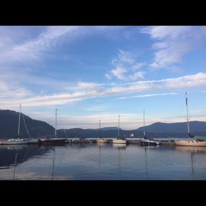 Meet your Posher, Libby